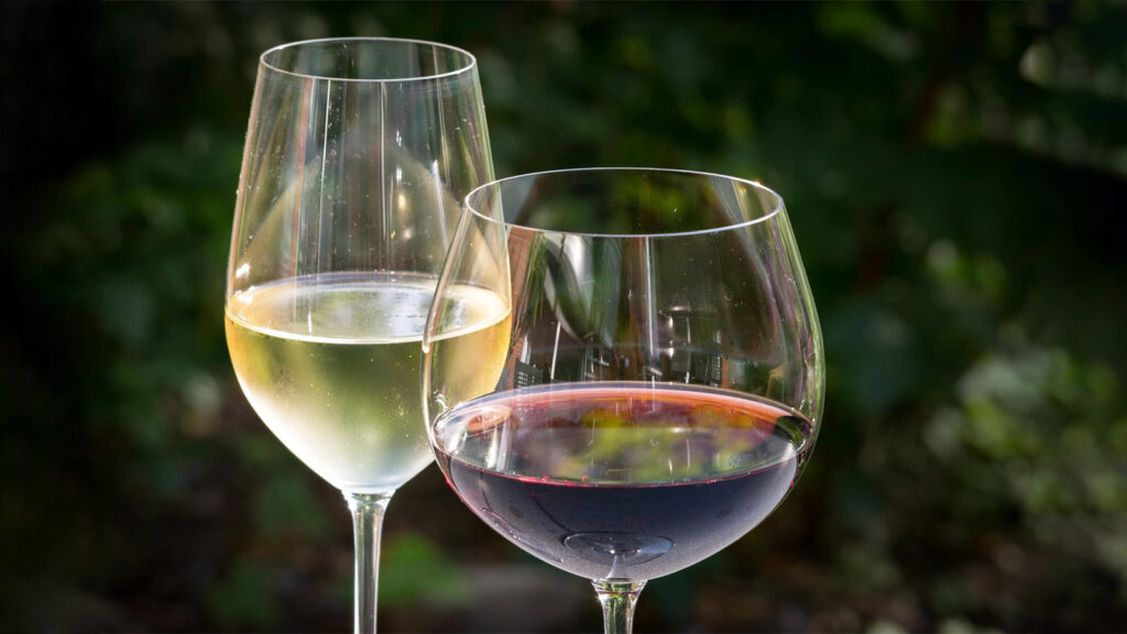 metanol-cerveja-vinho-destilado-quais-bebidaspodem-estar-contaminadas-thomas-pixabay-tvt-news