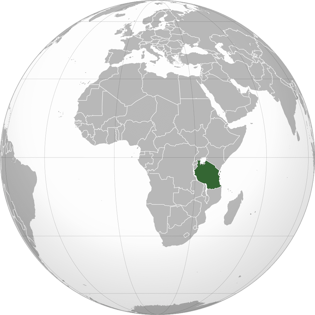 oposicao-denuncia-quase-700-mortos-em-protestos-contra-o-governo-na-tanzania-africa-tvt-news