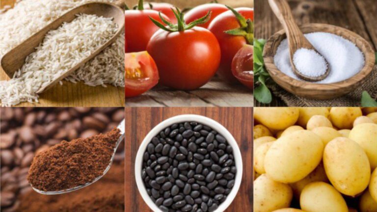 custo-da-cesta-basica-cai-em-22-capitais-em-setembro-indica-dieese-cafe-em-po-caiu-em-14-capitais-foto-divulgacao-conab-tvt-news