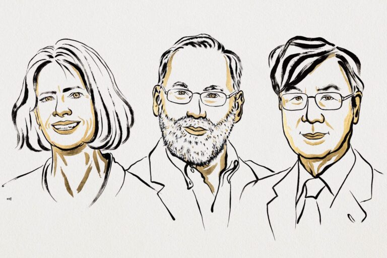 nobel-de-medicina-e-entregue-para-descoberta-de-controle-do-sistema-imunologico-pesquisadores-ganhadores-mary-e-brunkow-fred-ramsdell-e-shimon-sakaguchi-ilustracao-comite-nobel-de-fisiologia-ou-medicina-divulgacao-tvt-news