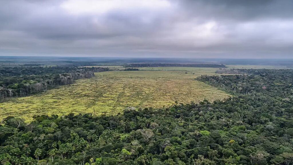 sociedade-civil-ve-retrocesso-grave-em-queda-de-vetos-de-pl-ambiental-lei-pode-aumentar-o-desmatamento-e-acelerar-os-chamados-pontos-de-nao-retorno-foto-pf-divulgacao-tvt-news