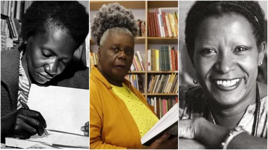 consciencia-negra-conheca-12-autores-negros-da-literatura-brasileira-autoras-negras-autores-negros-dica-de-leitura-tvt-news