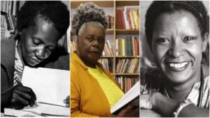consciencia-negra-conheca-12-autores-negros-da-literatura-brasileira-autoras-negras-autores-negros-dica-de-leitura-tvt-news