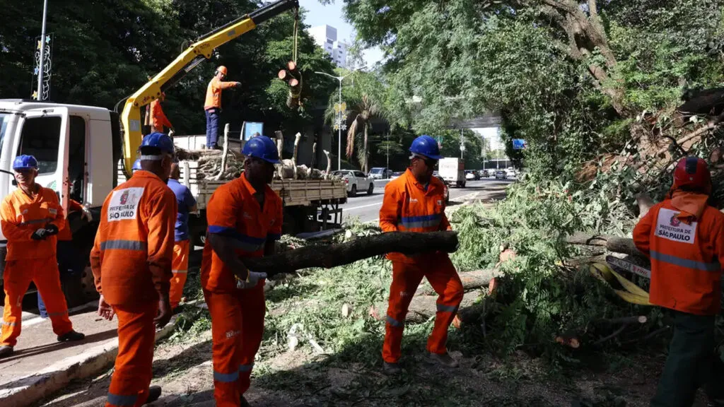 Previsão do tempo: ventos diminuem hoje e não devem ocorrer na sexta, 12 1 24h-depois-do-vendaval-Sao-Paulo-tem-15-milhao-de-imoveis-ainda-sem-energia-rovena-rosa-agencia-brasil-tvt-news-previsao-do-tempo