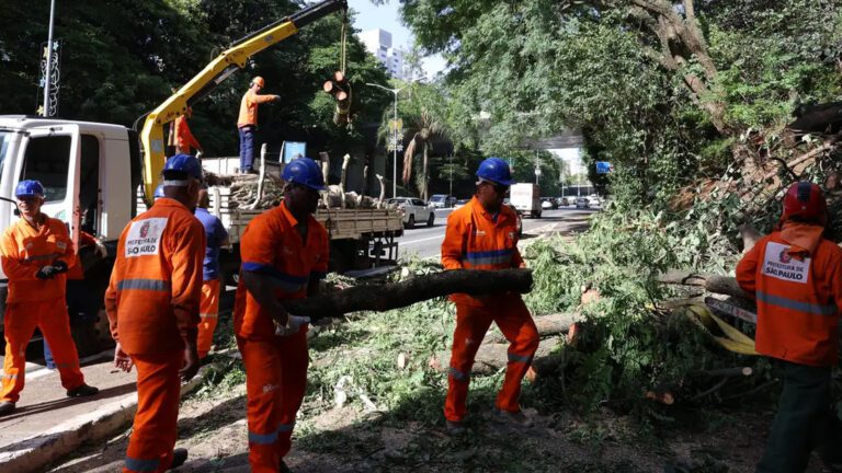 24h-depois-do-vendaval-Sao-Paulo-tem-15-milhao-de-imoveis-ainda-sem-energia-rovena-rosa-agencia-brasil-tvt-news