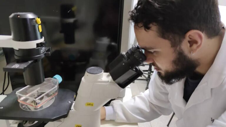 profix-conhecimento-brasil-oferecera-1-000-bolsas-de-r-13-mil-a-doutores-de-todo-o-pais-iniciativa-busca-estancar-a-fuga-de-cerebros-do-pais-foto-robson-moura-tv-brasil-tvt-news