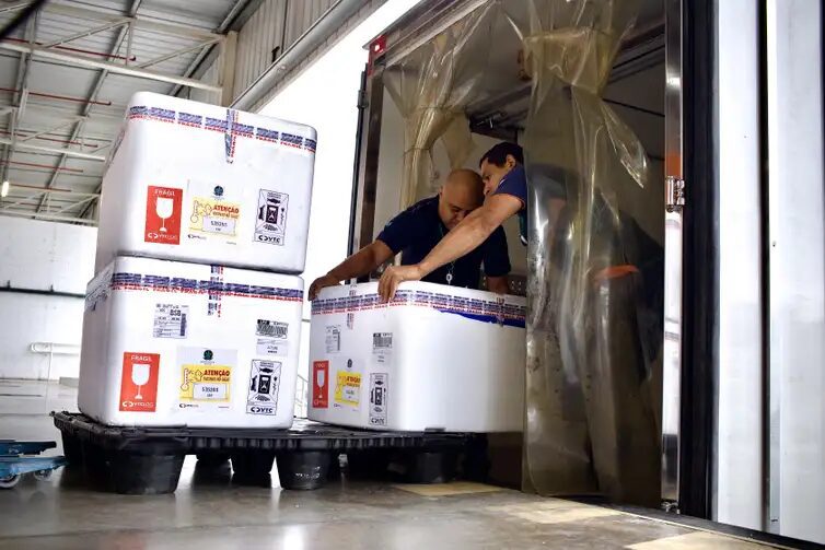 Vacina contra vírus sincicial respiratório começa a chegar ao SUS 4 vírus sincicial respiratório