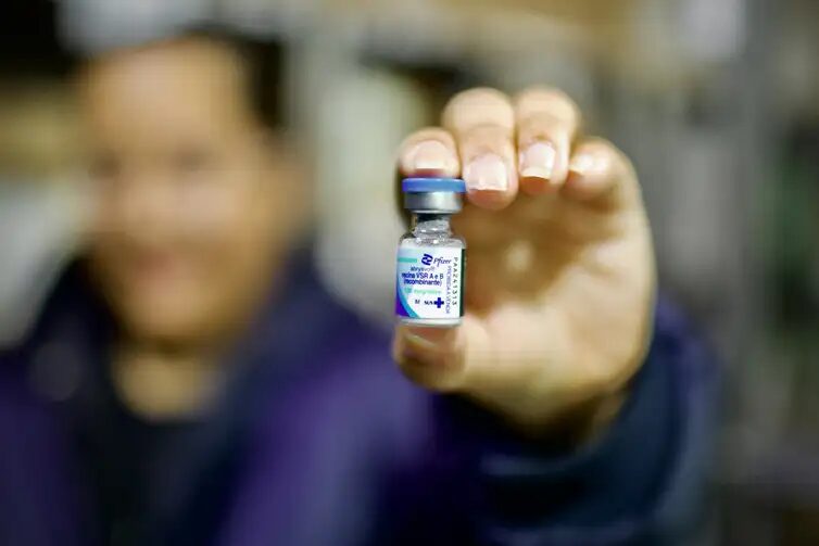 Vacina contra vírus sincicial respiratório começa a chegar ao SUS 3 Vacina vírus sincicial respiratório