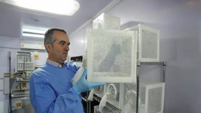 TVTNews 4 Luciano Andrade Moreira aparece nesta temporada numa das listas mais cobiçadas da ciência: a Nature’s 10 por seu trabalho com o mosquito da dengue. Foto: Divulgação/Fiocruz