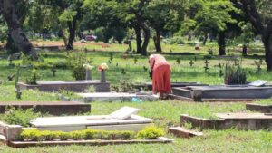 brasil-registra-queda-no-numero-de-mortes-violentas-pelo-5-ano-seguido-dados-do-ministerio-da-justica-apontam-34-086-mortes-violentas-no-pais-no-ano-passado-foto-valter-campanato-agencia-brasil-tvt-news