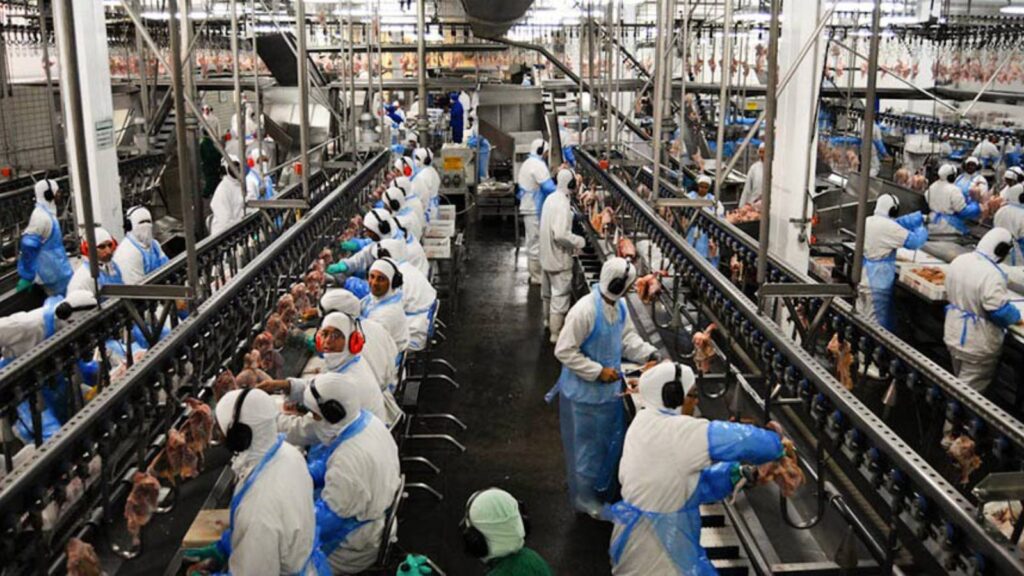 vietna-habilita-mais-quatro-frigorificos-brasileiros-para-exportar-carne-bovina-mercado-vietnamita-de-carne-bovina-foi-aberto-em-2025-foto-agencia-senado-tvt-news