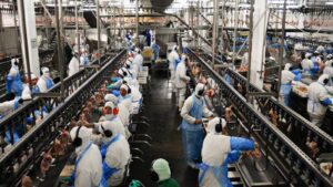 vietna-habilita-mais-quatro-frigorificos-brasileiros-para-exportar-carne-bovina-mercado-vietnamita-de-carne-bovina-foi-aberto-em-2025-foto-agencia-senado-tvt-news