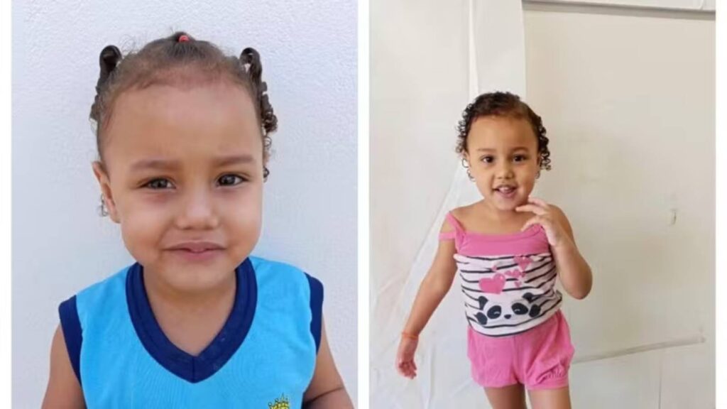 desaparecimento-de-menina-de-4-anos-mobiliza-buscas-em-mg-se-alguem-pegou-a-minha-filha-por-favor-devolva-apela-a-mae-foto-reproducao-redes-sociais-tvt-news