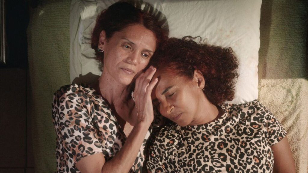 Brasil-marca-presenca-no-Festival-de-Berlim-2026-com-dez-producoes-audiovisuais-divulgacao-tvt-news