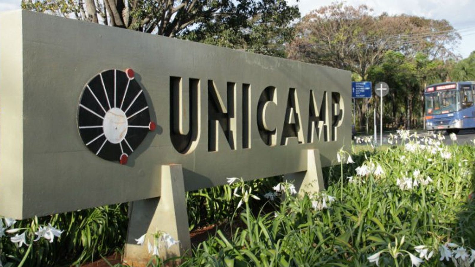docencia-Mais-alunos-da-escola-publica-na-Unicamp-conheca-o-perfil-dos-aprovados-divulgacao-tvt-news