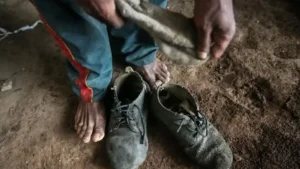 Da Redação 11 lista-suja-do-trabalho-escravo-trabalho-analogo-a-da-escravidao-combate-ao-trabalho-escravo-tvt-news