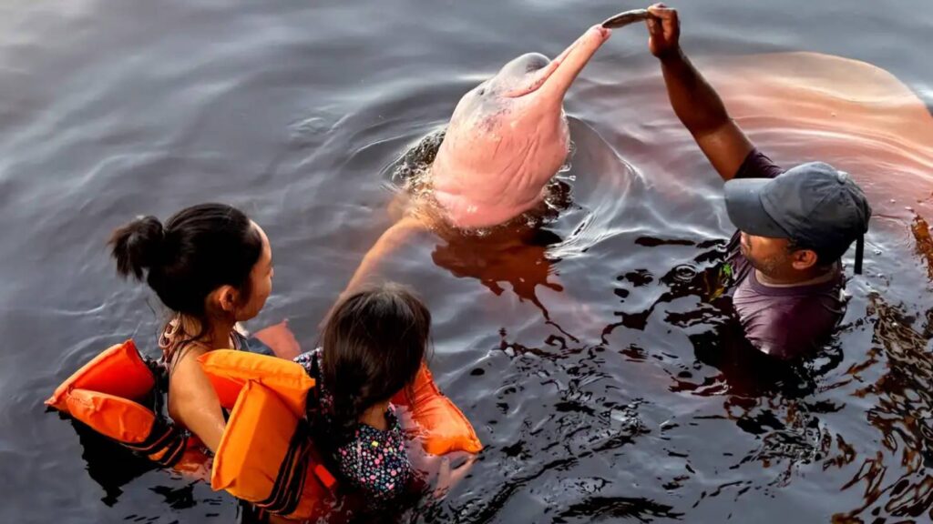 inseguranca-e-barreira-para-62-das-mulheres-viajarem-sozinhas-62-das-mulheres-afirmaram-ja-ter-deixado-de-viajar-sozinhas-por-questoes-de-seguranca-foto-tania-rego-agencia-brasil-tvt-news