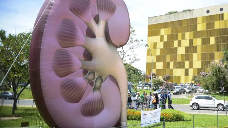 dia-mundial-do-rim-doencas-renais-sao-silenciosas-e-exigem-atencao-e-importante-fazer-os-exames-para-rastreio-das-funcoes-renais-alerta-especialista-foto-agencia-brasil-tvt-news