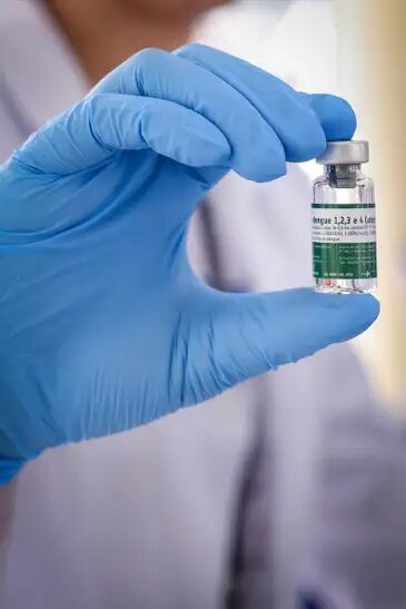dengue vacina