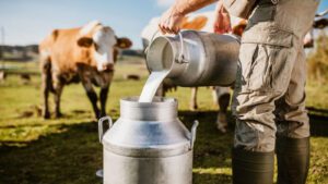 Governo lança estratégia nacional para impulsionar produção de leite e renda no campo; entenda