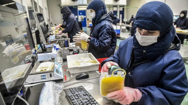 dia-mundial-da-hemofilia-campanha-reforca-importancia-do-diagnostico-hemofilia-faz-com-que-o-processo-de-coagulacao-do-sangue-nao-aconteca-de-forma-adequada-foto-hemobras-divulgacao-tvt-news