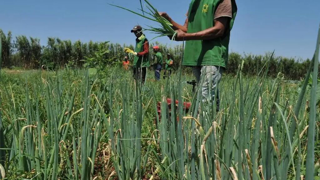Nova-portaria-fortalece-a-agricultura-familiar-frente-as-mudancas-climaticas-valter-campanato-agencia-brasil-tvt-news