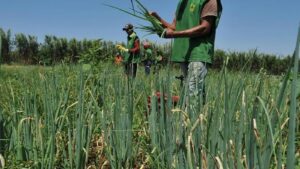 Nova-portaria-fortalece-a-agricultura-familiar-frente-as-mudancas-climaticas-valter-campanato-agencia-brasil-tvt-news