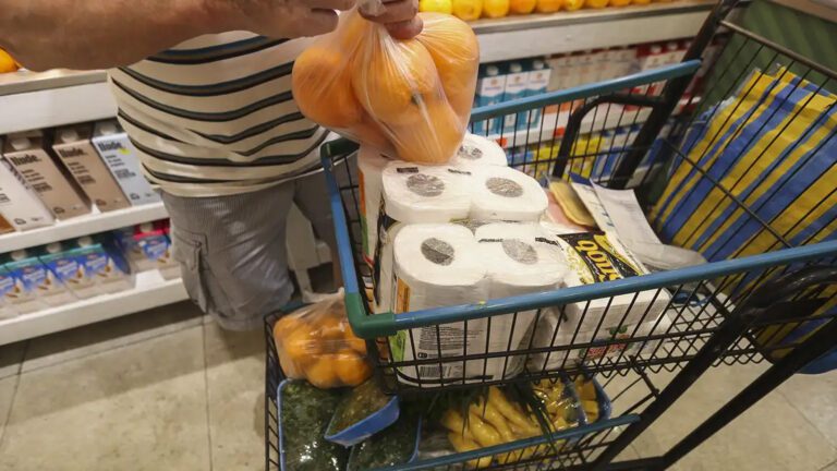 Inflacao-desacelera-e-fecha-abril-em-067-pressionada-por-alimentos-valter-campanato-agencia-brasil-arquivo-tvt-news