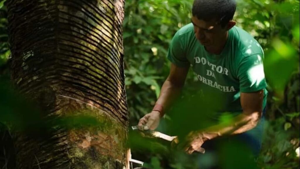 salao-do-artesanato-chega-a-22a-edicao-e-reune-artesaos-de-todo-o-brasil-em-sao-paulo-tvt-news