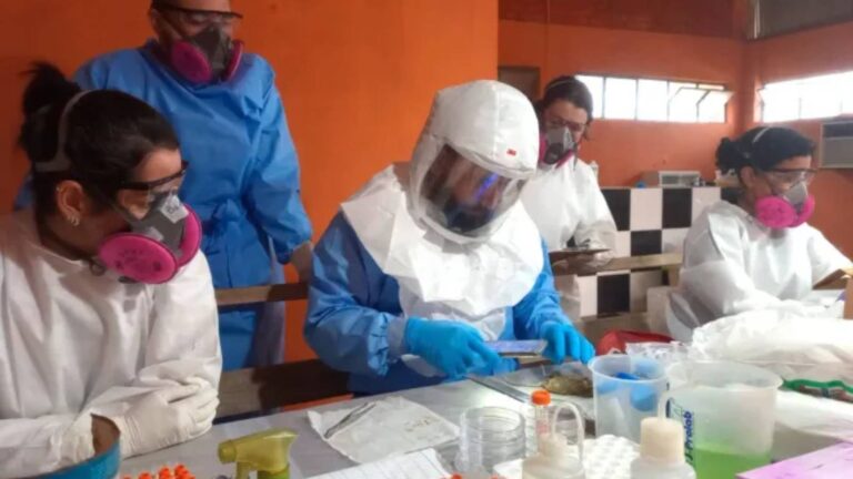 parana-confirma-dois-casos-de-hantavirus-e-investiga-outros-11-oms-considera-baixo-o-risco-de-disseminacao-ampla-da-doenca-foto-sesa-pr-tvt-news