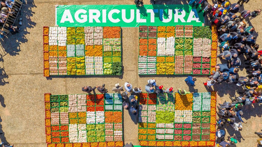 plano-safra-agricultura