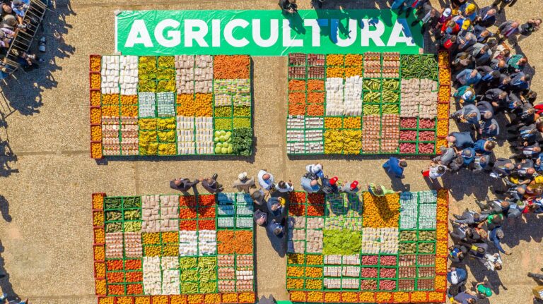 plano-safra-agricultura