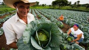 sorocaba-recebe-encontro-para-fortalecer-agricultura-familiar-e-seguranca-alimentar-em-sp-expectativa-e-reunir-representantes-de-dezenas-de-municipios-das-regioes-metropolitanas-de-sorocaba-e-campinas-foto-divulgacao-mda-tvt-news