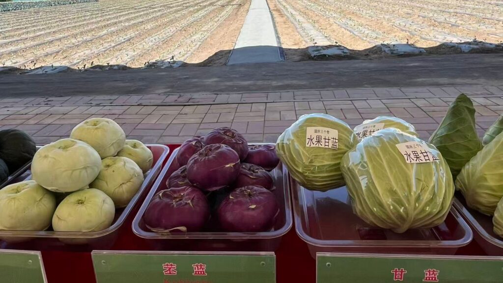 vila-yaomo-cidade-de-guyuan-ningxia-foto-talita-galli-tvt-news