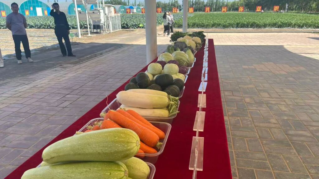 vila-yaomo-cidade-de-guyuan-ningxia-foto-talita-galli-tvt-news