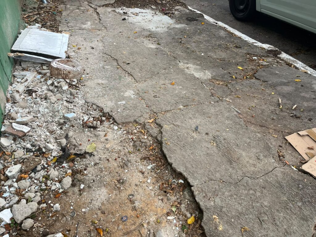 para-pesquisadora-lixo-em-via-desmotiva-pessoas-a-usarem-calcadas-para-caminhar- -foto-dayane-ponte- -tvt-news