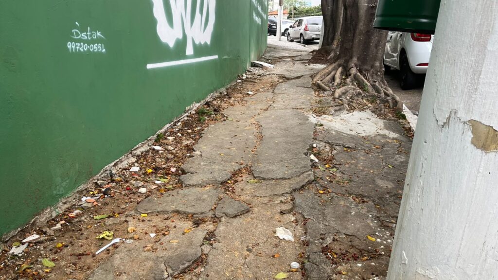 estudo-mostra-que-69,7%-das-cacadas-nao-tinham-acessibilidade-e-em-88%-faltavam-infraestrutura-para-pedestres.---foto-dayane-ponte---tvt-news