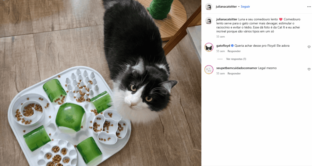 Para além dos entregadores: plataformização já é realidade em diversas profissões 2 plataformizacao-plataforma-cat-sitter
