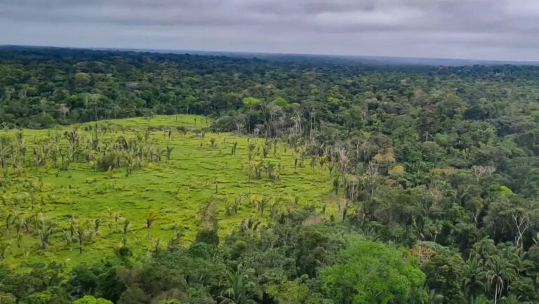 instituto-aponta-que-desmatamento-na-regiao-da-amazonia-atingiu-2-702-km2-em-um-ano-foto-policia-federal-gov-br