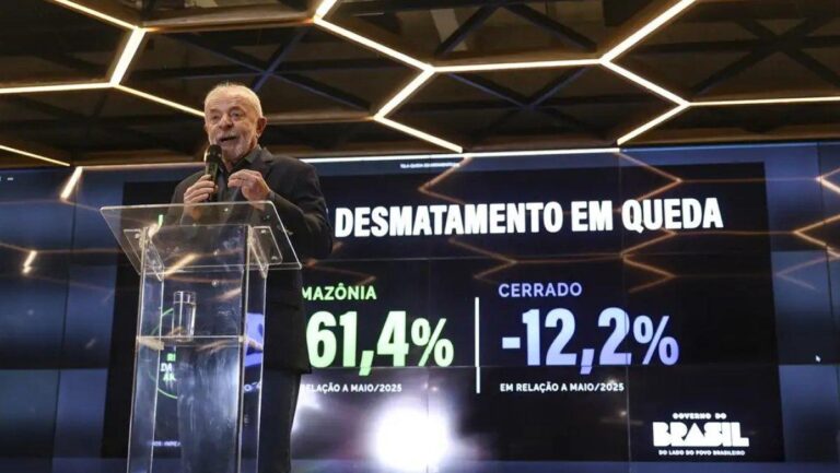 programa-de-governo-de-lula-preve-ampliar-acoes-de-combate-ao-desmatamento-e-enfrentar-os-impactos-das-mudancas-climaticas-foto-marcelo-camargo-agencia-brasil