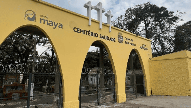 Dino-determinou-que-o-Grupo-Maya-seja-incluído-na-análise-prioritária-dos-órgãos-de-fiscalização.---Foto:-Reprodução-|-TVT-News