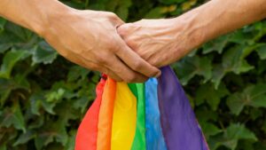 Da Redação 4 eleicoes-2026-o-que-esta-em-jogo-para-casais-lgbtqiapn+-decisoes-eleitorais-podem-alterar-ao-longo-do-tempo-a-protecao-juridica-das-familias-lgbtqiapn+-tvt-news