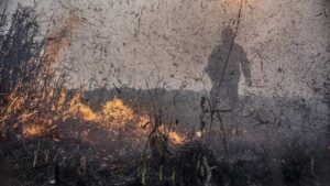 ate-o-momento-ja-sao-47-planos-de-trabalho-para-assistencia-humanitaria-ao-amazonas-foto-mayangdi-inzaulgarat-ibama
