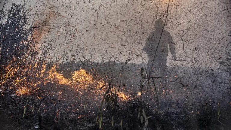 ate-o-momento-ja-sao-47-planos-de-trabalho-para-assistencia-humanitaria-ao-amazonas-foto-mayangdi-inzaulgarat-ibama