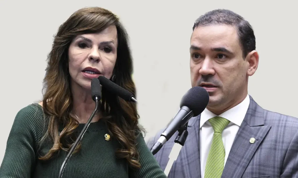 Dorinha e Vicentinho Junior vão disputar o 2° turno no Tocantins