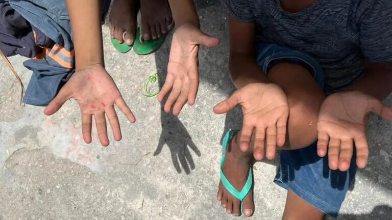 TVTNews 7 levantamento-do-ibge-aponta-reducao-de-92-em-um-ano-cerca-de-525-mil-criancas-e-adolescentes-ainda-estavam-submetidos-as-piores-formas-de-trabalho-infantil-foto-ministerio-do-trabalho-divulgacao