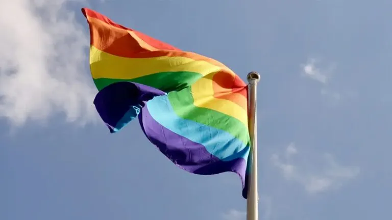 em-2024-60-dos-pl-sobre-a-comunidade-lgbtqia-eram-favoraveis-bandeira-lgbtqiapn-foto-lillen-pixabay-tvt-news