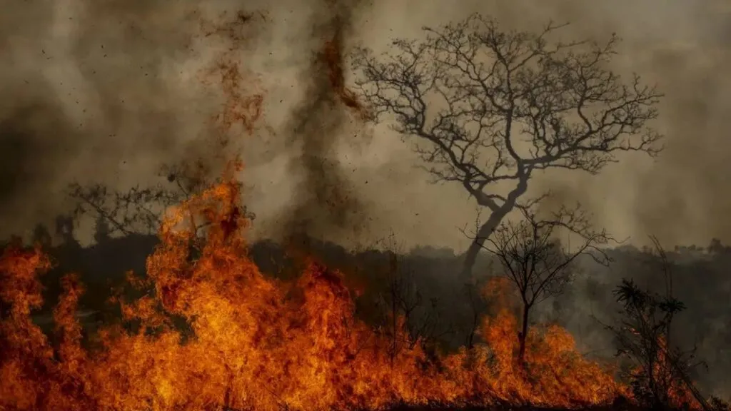 crise-climatica-e-amplificadora-de-outras-crises-alerta-pesquisadora-no-brasil-e-a-agricultura-o-setor-que-mais-emite-gases-de-efeito-estufa-foto-marcelo-camargo-abr-tvt-news