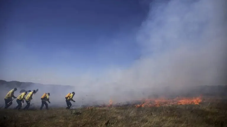 desmatamento-e-quatro-vezes-menor-onde-ha-povos-indigenas-e-comunidades-tradicionais-brigada-de-incendio-da-prevfogo-composta-com-membros-da-comunidade-quilombola-kalunga-durante-simulacao-de-combate-ao-fogo-no-cerrado-no-engenho-ii-em-cavalcante-go-foto-joedson-alves-agencia-brasil-tvt-news