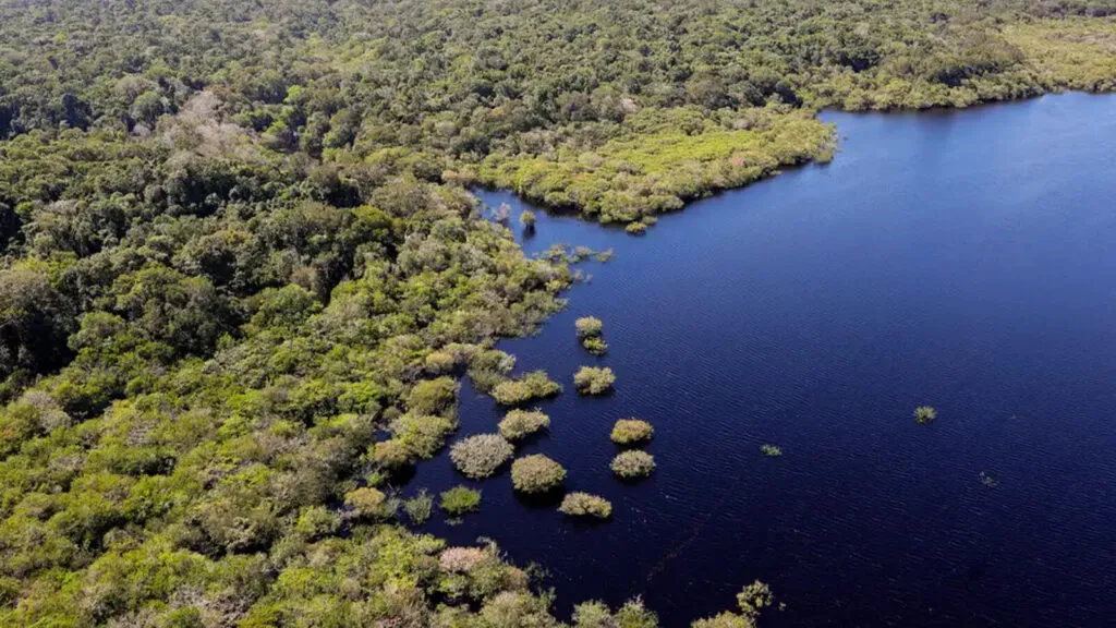 cop-30-brasil-quer-que-diversidade-seja-criterio-para-investimentos-em-sustentabilidade-cop-30-comecara-em-10-de-novembro-em-belem-fabio-rodrigues-pozzebom-agencia-brasil-tvt-news